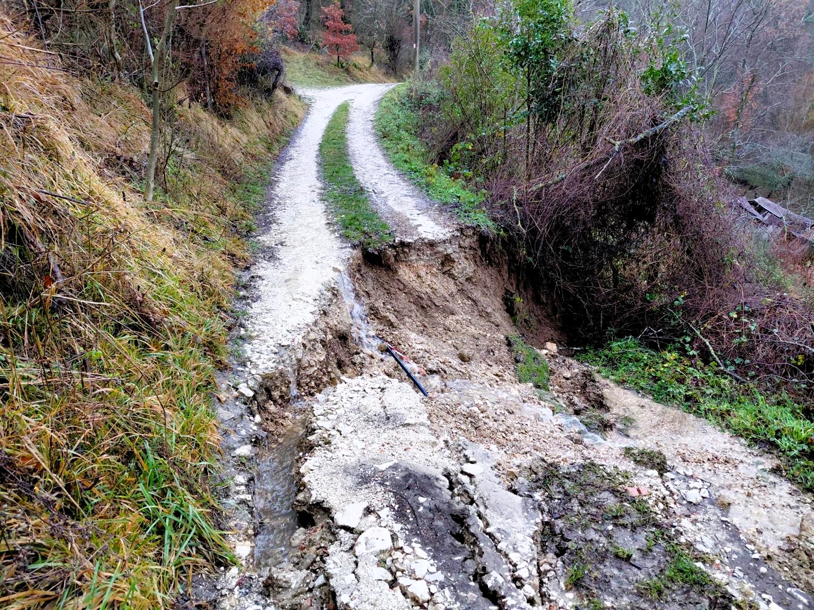 Pellegrini in marcia