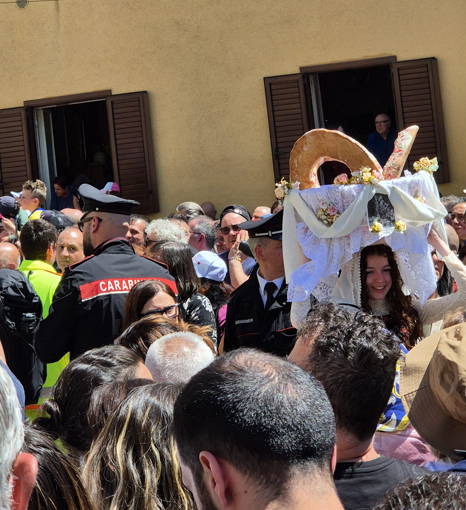 Momenti della Festa a Cocullo