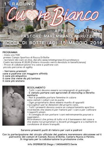 Regolamento Cuore Bianco