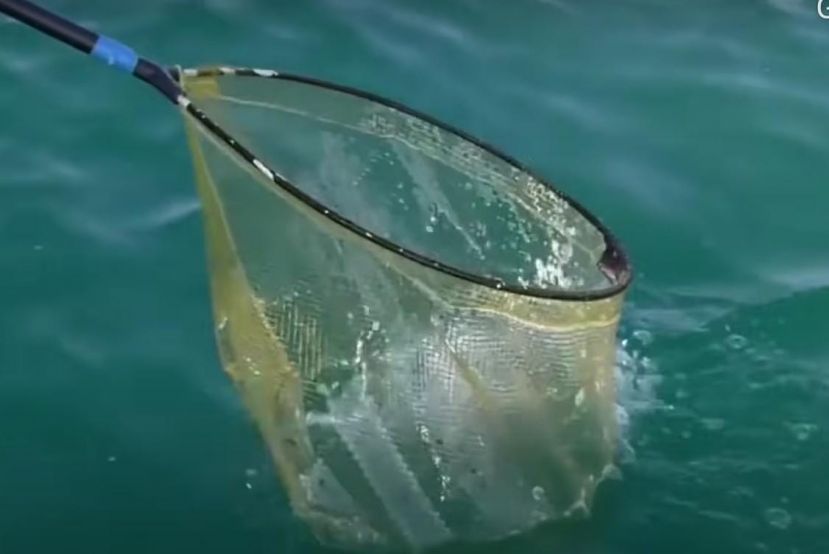 Pesca a Pescara