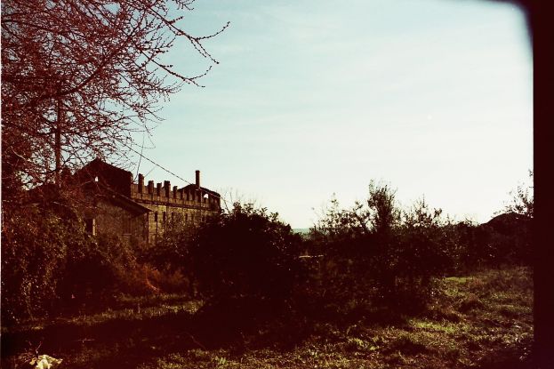 Pai Tivoli