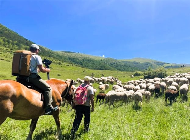 le vie della lana Castel del Monte