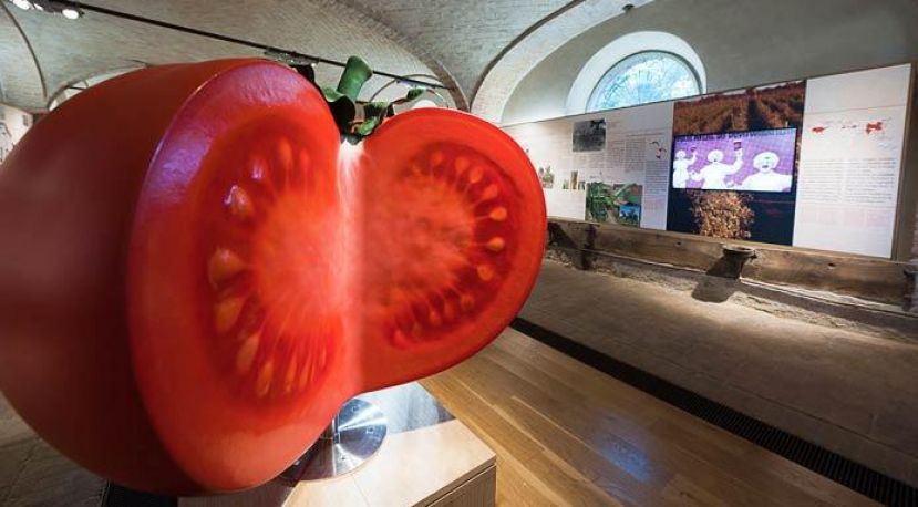 IL MUSEO DEL CIBO DI CARSOLI AL CENTRO DELLE POLEMICHE POLITICHE NEL COMUNE DI AVEZZANO:"LUNGIMIRANZA POLITICA DELL'EX SINDACO DOMENICO D'ANTONIO"