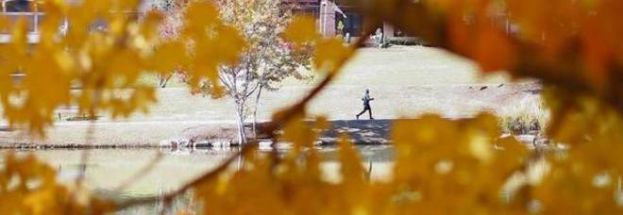 METEO, A NOVEMBRE TORNA L'ESTATE:MENO PIOGGIA E TEMPERATURE SOPRA LA MEDIA