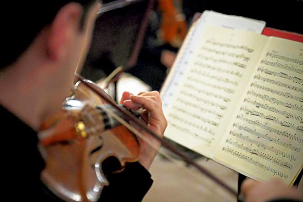 Violinista