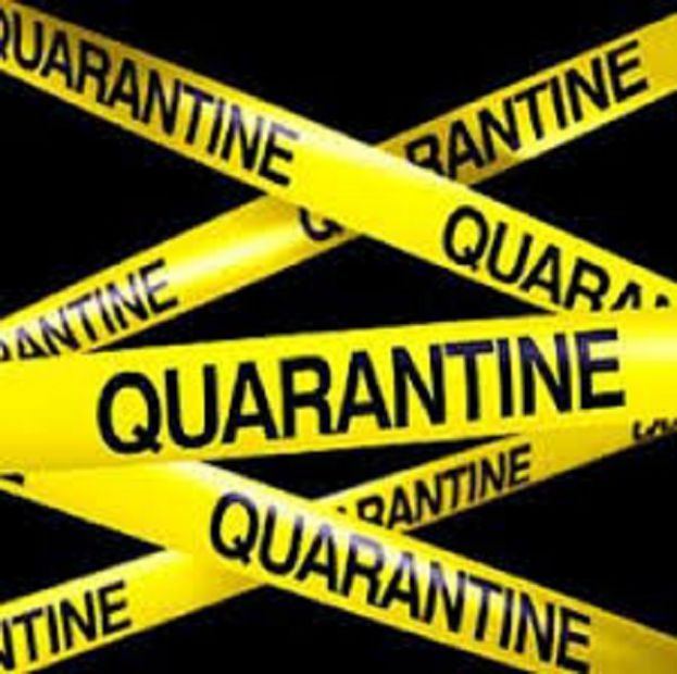 Quarantena