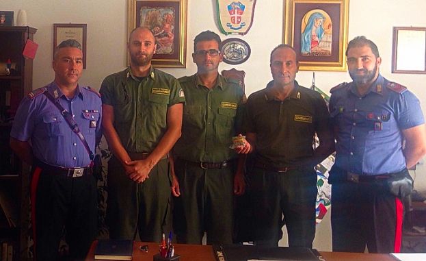 CASTEL DI TORA, SEQUESTRO DI MARJIUANA AD OPERA DEI GUARDIAPARCO