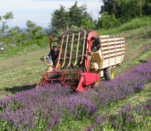 INCONTRO-DIBATTITO A CARSOLI.AGRICOLTURA:UN FUTURO DA COLTIVARE