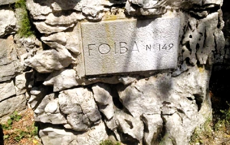 Foiba