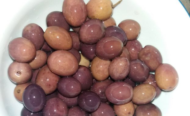 Olive di Gaeta