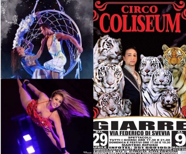 Circo Coliseum