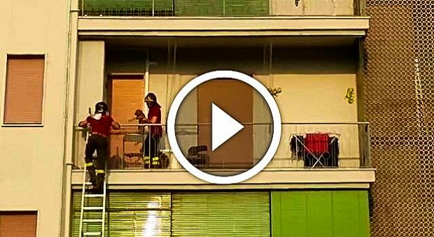 VANNO IN VACANZA E LASCIANO IL CUCCIOLO SUL BALCONE SOTTO IL SOLE: IL SALVATAGGIO E' VIRALE