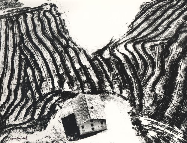 Palazzo Esposizioni_Mario Giacomelli, Presa di coscienza sulla natura, 1980 © Archivio Mario Giacomelli