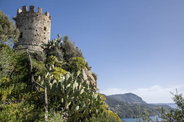 Parco_arch_Tauriani_FedericoNeri7301