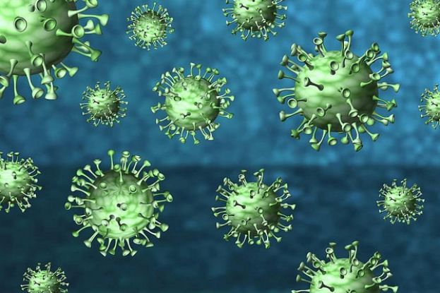 Coronavirus