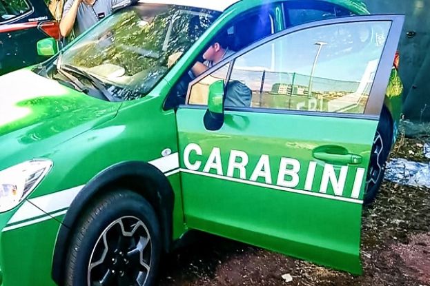 Carabinieri Forestali