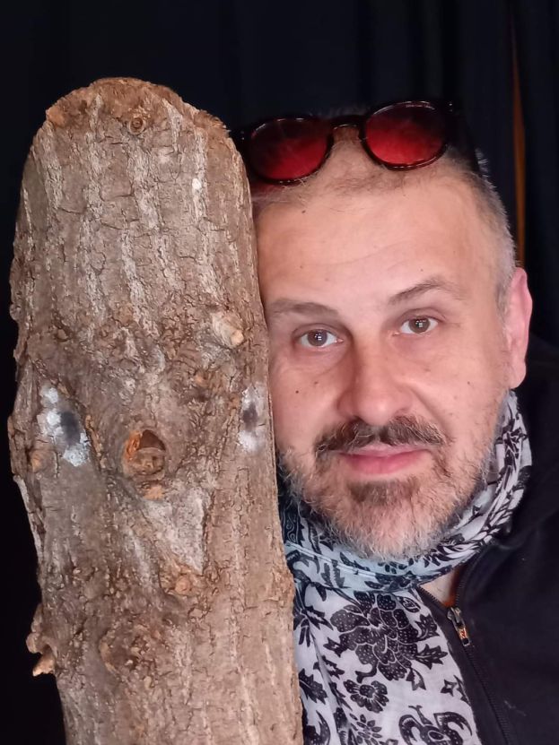 Pinocchio, Sfumature in atto