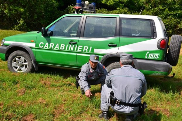 Guardia Forestale