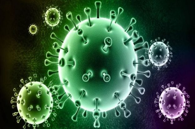 Coronavirus