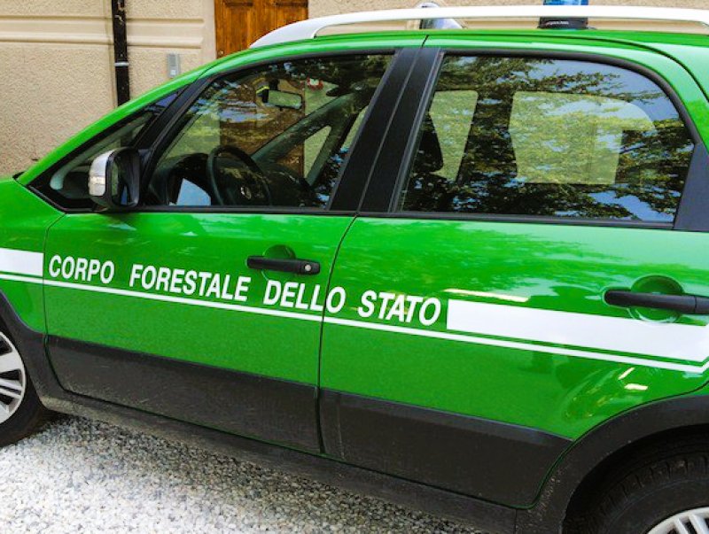 Carabinieri forestali
