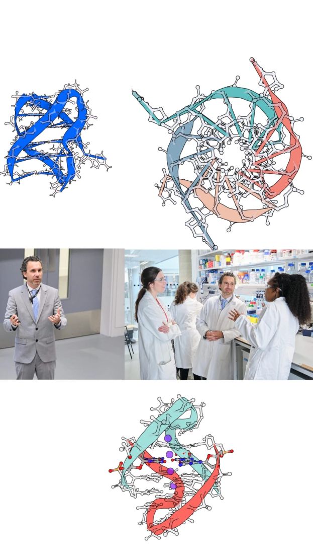 Prof. Marco Di Antonio e altri ricercatori