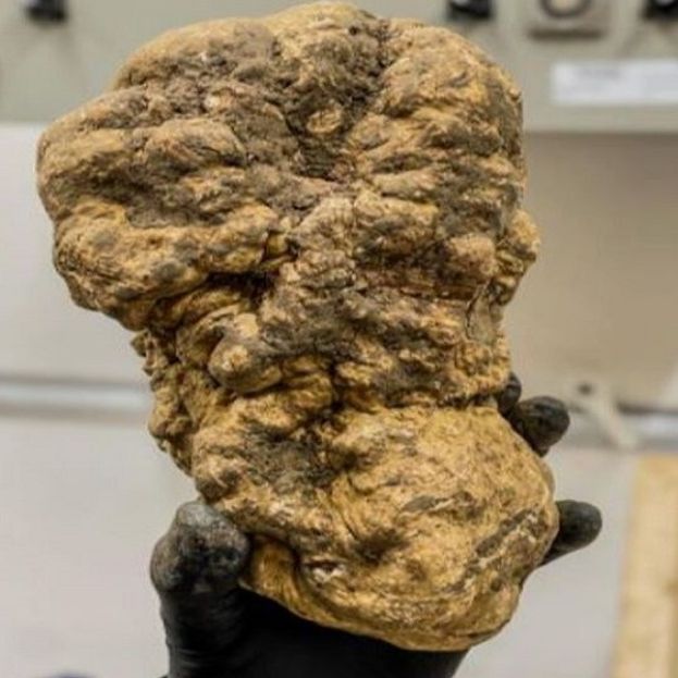 Tartufo
