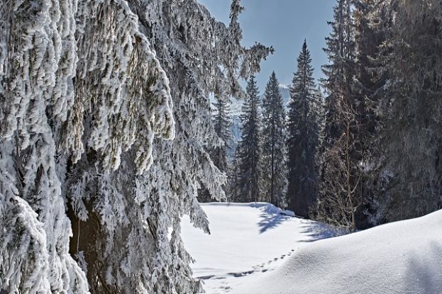 Neve in montagna