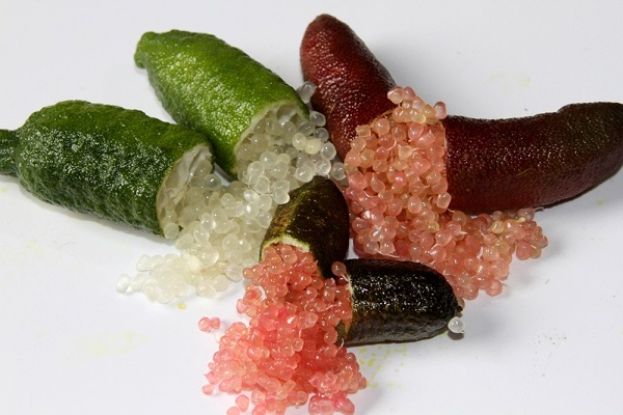 limone, Caviale