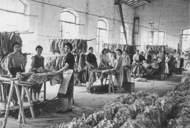 Donne in fabbrica