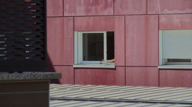 Condominio_finalstills_1.28.1