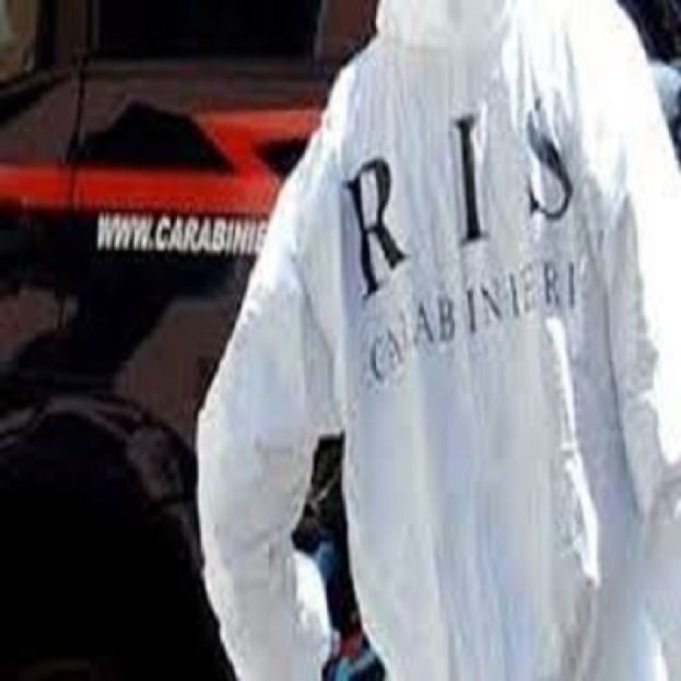 Ris