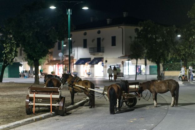 Cavallini_Forte dei Marmi_CinemaDaMare