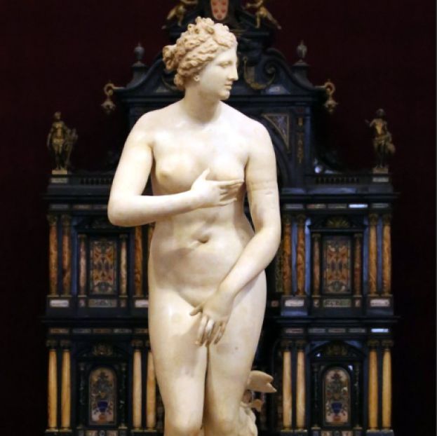 Venere