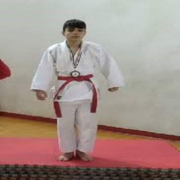 ALESSANDRO PICCININI