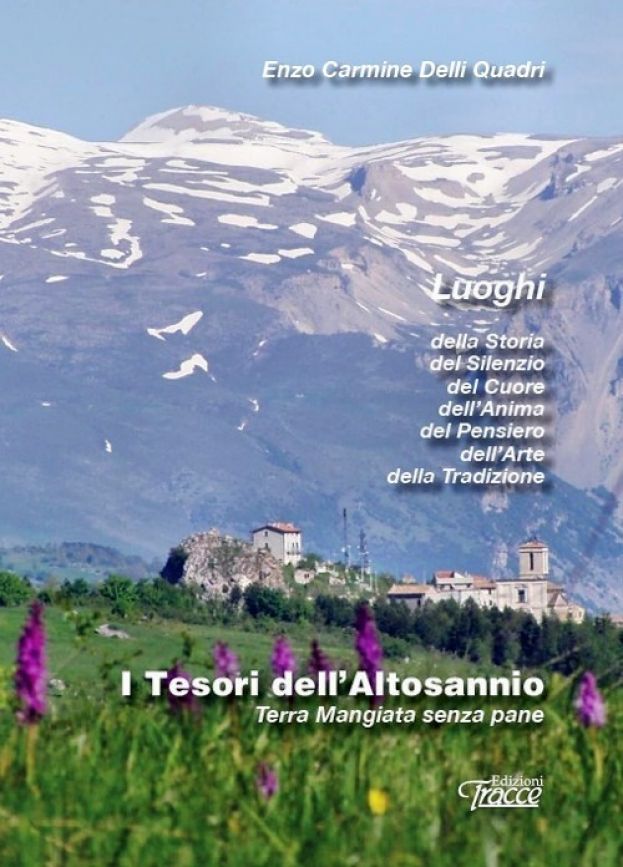 Cover Libro