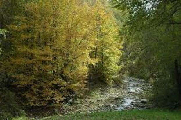 Sentiero del Cantico