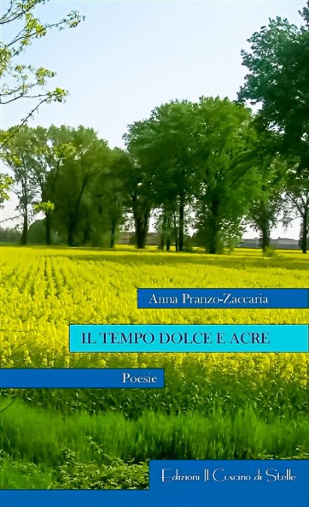 Copertina dell'Libro