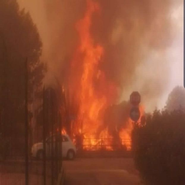 Fiamme