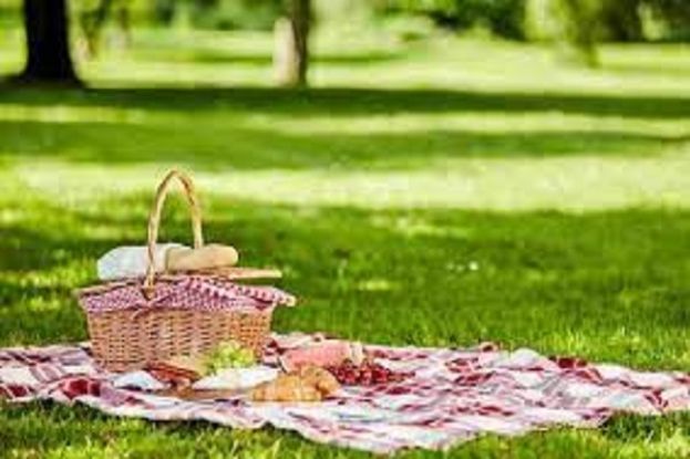 Picnic
