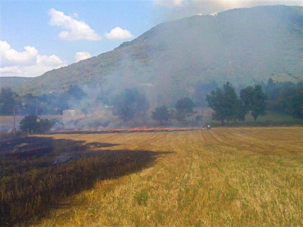 ROCCA DI BOTTE, DOMATO UN INCENDIO DI NOTEVOLI PROPORZIONI : FORTUNATAMENTE NESSUN DANNO(FOTO)