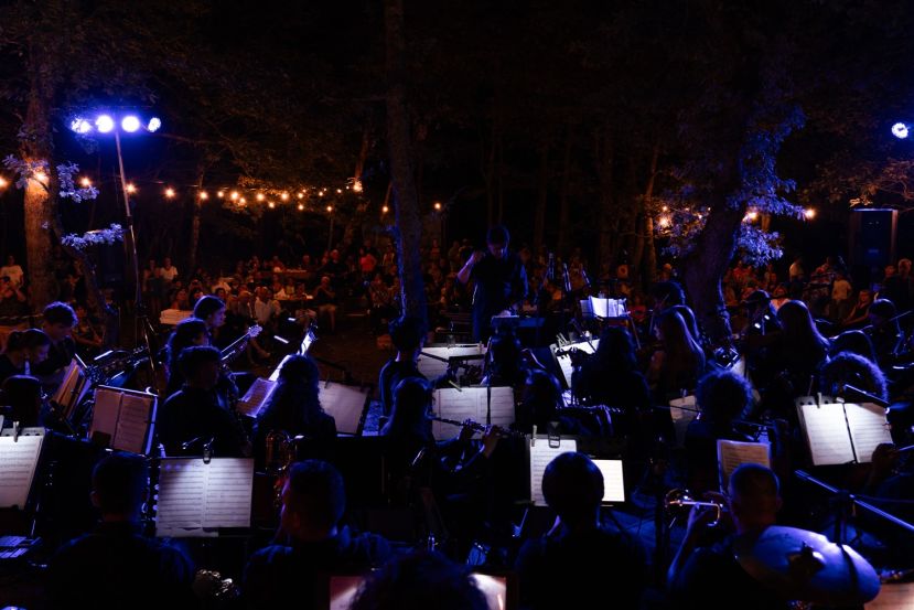 Orchestra