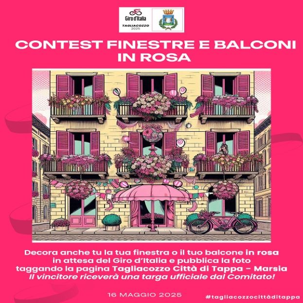 CONTEST