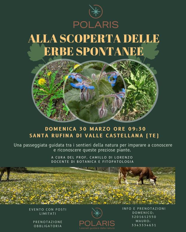 Locandina Evento