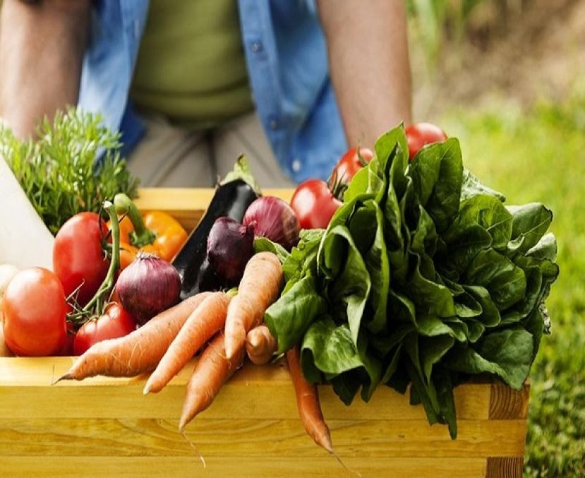 Produzione Agricola