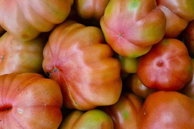 Pomodori