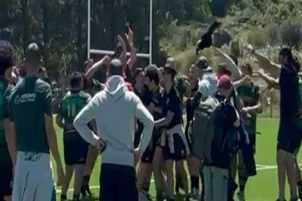 L'Aquila Rugby