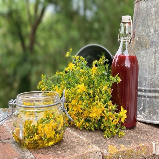 OLIO DI SAN GIOVANNI