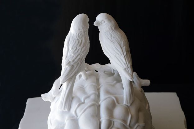 Sharing secrets about the neurons, 2024, Carrara marble_Jan Fabre_ph. Pierluigi Di Pietro