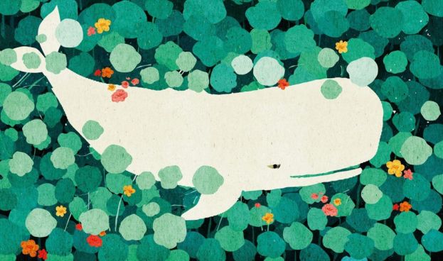 Favola con la balena
