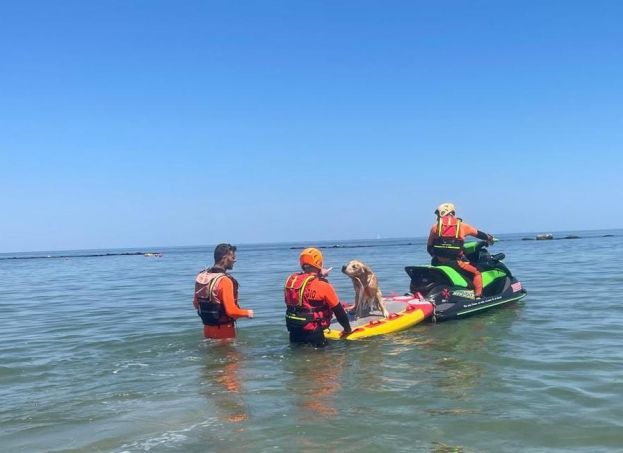 Salvataggio con moto d'acqua 2 Eracle aps